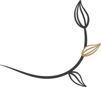 Element floral issu du logo